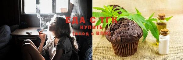 шишки Коряжма