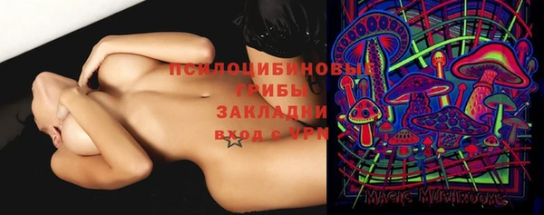 хмурый Корсаков