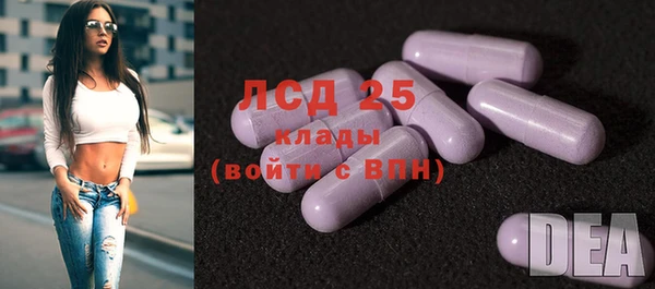 шишки Коряжма