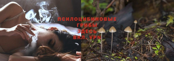 шишки Коряжма