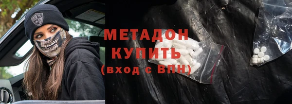 шишки Коряжма
