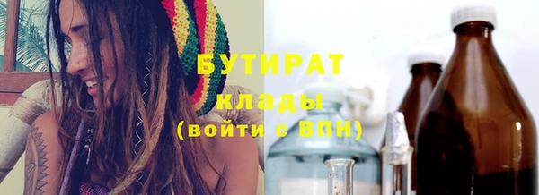 шишки Коряжма