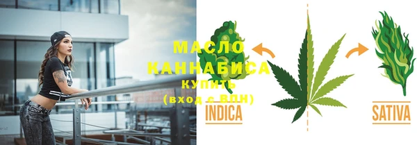 шишки Коряжма