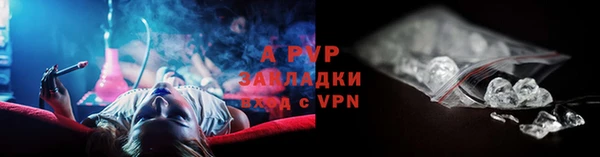 хмурый Корсаков