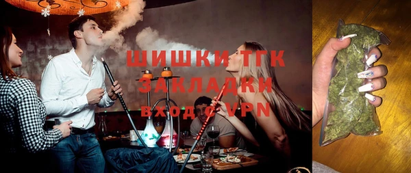 шишки Коряжма