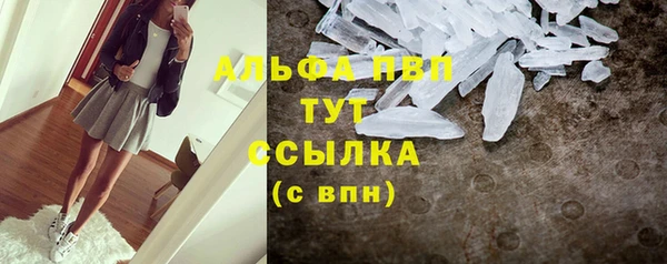 шишки Коряжма