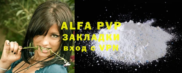 хмурый Корсаков