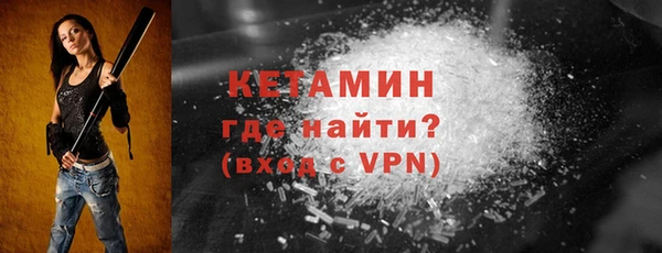 шишки Коряжма