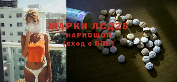 хмурый Корсаков
